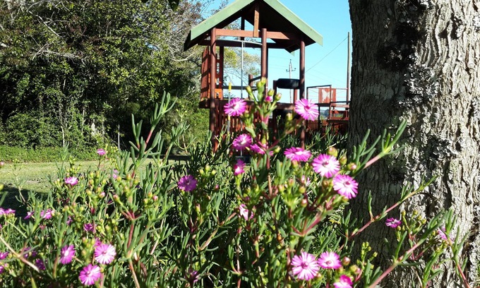 Knysna Casa | Teniqua Treetops