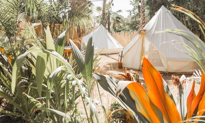 Todos Santos Alquiler De RV | Tent 1 · Cien Palmas - Glamping Tent 1 - Downtown