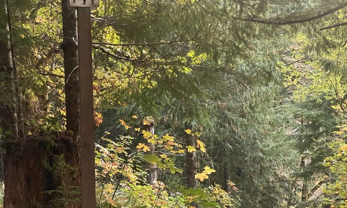 Port Angeles Alquiler De RV | Tent campsite w/lake view on Lake Sutherland!