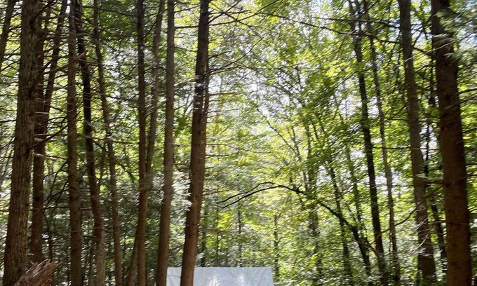 Ellenville Alquiler De RV | Tentrr Signature Site - Secluded Streamside Camp 90 miles from NYC