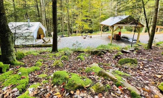 Jim Thorpe Alquiler De RV | Cozy Creekside Camp cerca del histórico pueblo minero de PA