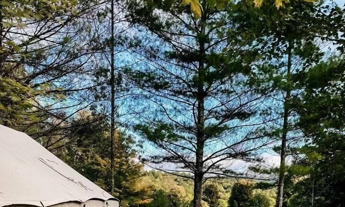 Mattawana Alquiler De RV | Tentrr Signature Site - Piney Pond Retreat at Tuckaway Tree Farm
