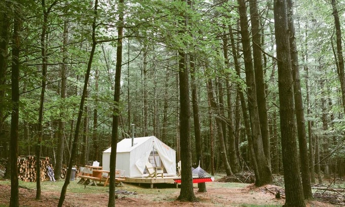 Mount Marion Alquiler De RV | Tentrr - Camping Highwoods
