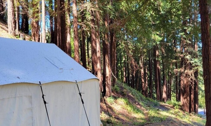 Soquel Alquiler De RV | Tentrr Signature Site - Redwood Grove A