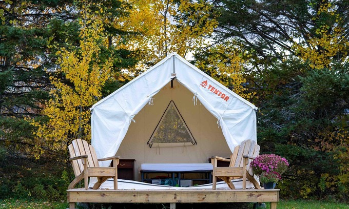 Danby Alquiler De RV | Tentrr Signature Site - Starry Night