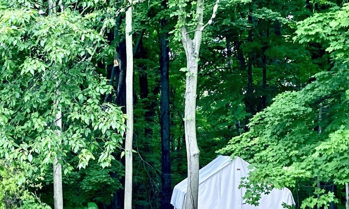 Red Hook Alquiler De RV | Tentrr Signature Site - FRISKY SWARD Upper Forest