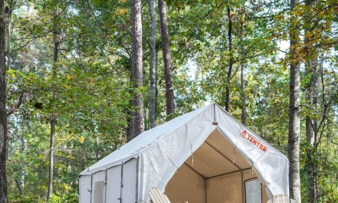 Morton Alquiler De RV | Tentrr State Park Site - Mississippi Roosevelt State Park - Tall Trees H - Singl