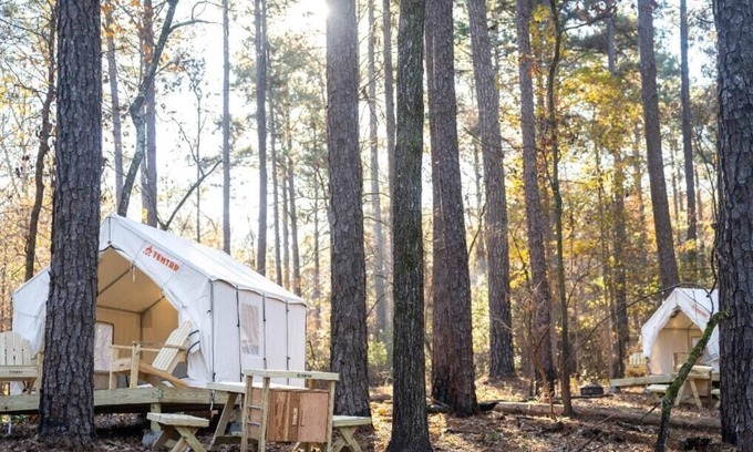 Quitman Alquiler De RV | Tentrr State Park Site - Mississippi Clarkco State Park - Woodland B - Double Ca