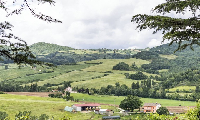 Monteluiano Apartamento | Tenuta Borgo San Michele