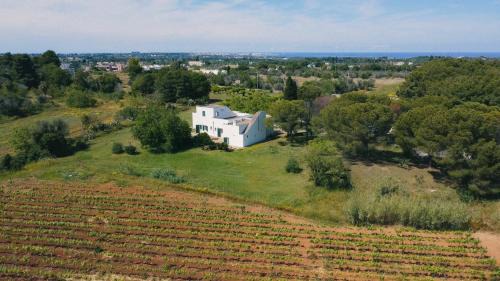 Chiesanuova Cama Y Desayuno | Tenuta Doxi