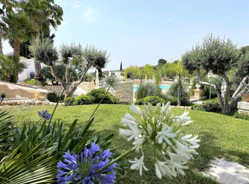 Avola Casa | Tenuta Green House