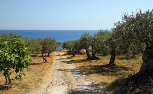 Santo Stefano di Camastra Apartamento | Tenuta Petreria