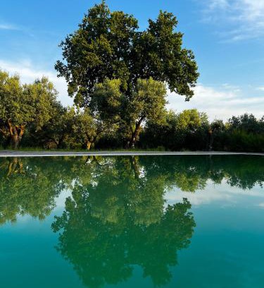 Sessa Aurunca Casa | Tenuta Paino