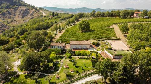 Torriana Complejo | Tenuta Saiano Resort