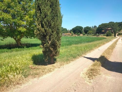 Capranica Casa | Tenuta Vallenoci