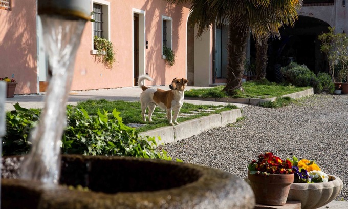 Sillavengo Otro | Tenuta Valtoppa