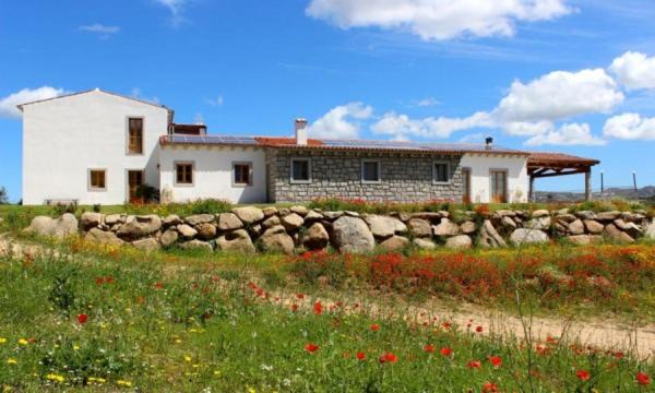 Luogosanto Casa | Tenute Testoni Agriturismo e B&B