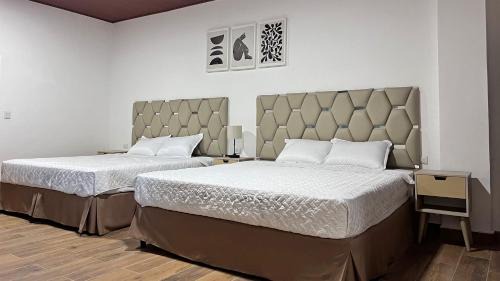 Ahuachapan Apartamento | Termales la Montaña “Suite Aire de Montaña 1”