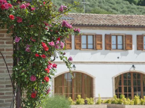 Recanati Casa | Terra Del Sole