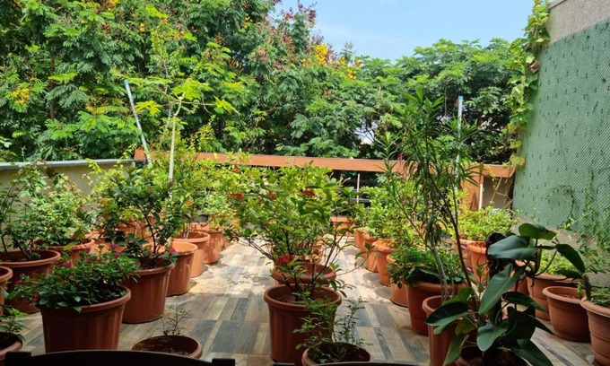 Begumpet Apartamento | Terrace Garden