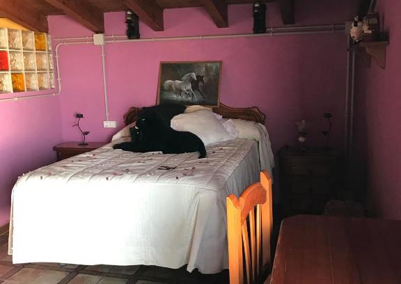 San Ambrosio Apartamento | Terraza de Patria