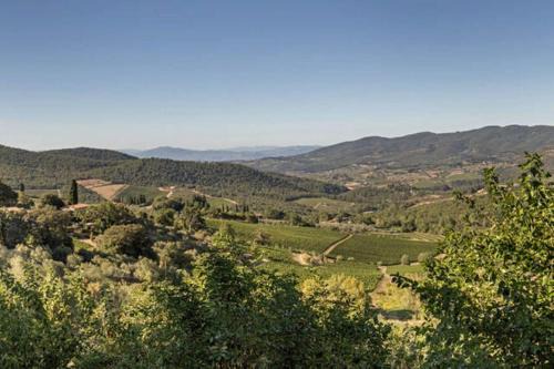 Panzano in Chianti Apartamento | Terrazza a Campana