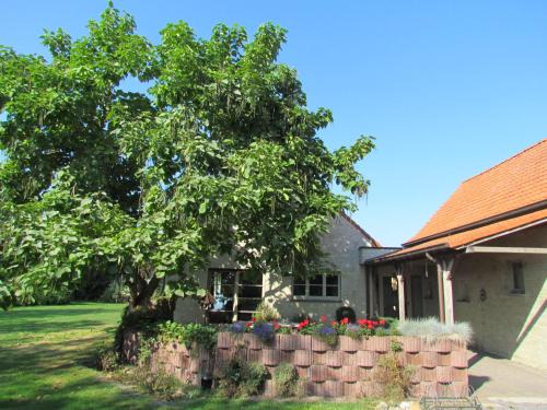 Maldegem Casa | Terre de Lumière