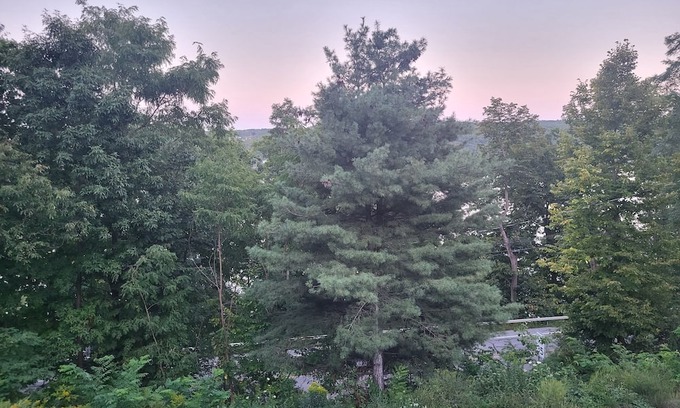 Hammondsport Cabina | Terry Hill Little Lodge, Cozy, Luxury Comfort overlooking beautiful Keuka Lake!