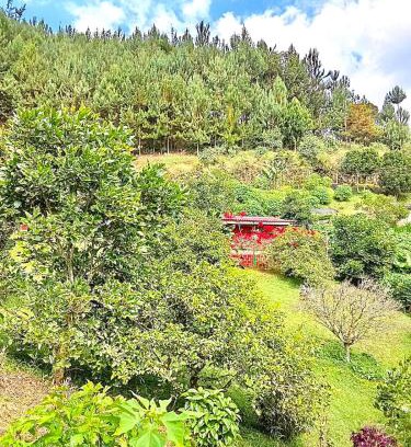 Filandia Casa | Tesorito House en las Montañas del Quindío