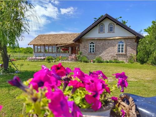 Novi Sad Casa | Tetrebov salas in the peaceful fields