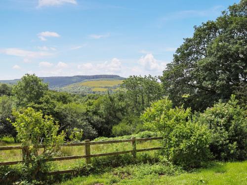 Llanybydder Casa | Thatched Cottage - Uk50261