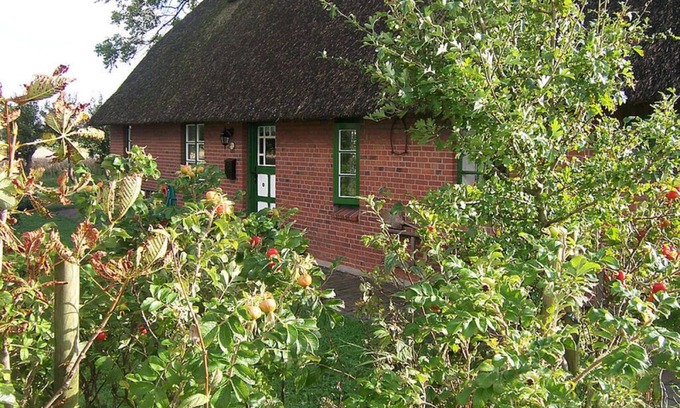 Hillgroven Casa | Casa con techo de paja Kehl