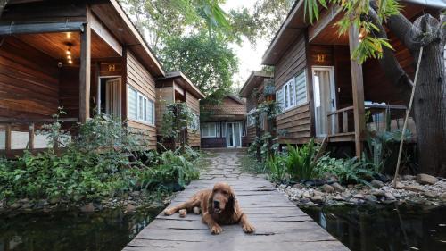 Buon Ma Thuot Casa | The 47 House Homestay BMT