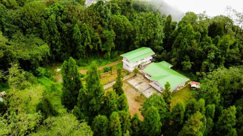 Namchi Casa | The Alpine Jungle Stay