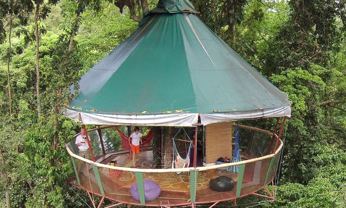 Manzanillo Casa | La increíble casa del árbol y Nature Observatorio en Manzanillo, Limón, Costa Rica