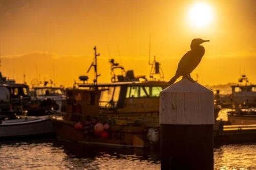 Poole Apartamento | The Apartment - Perfect Location on Poole Quay - Beatiful Roof Terrace - Free Parking