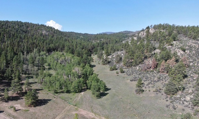 Lake George Casa | Aspen Glen - ¡Un campista acogedor en el bosque!