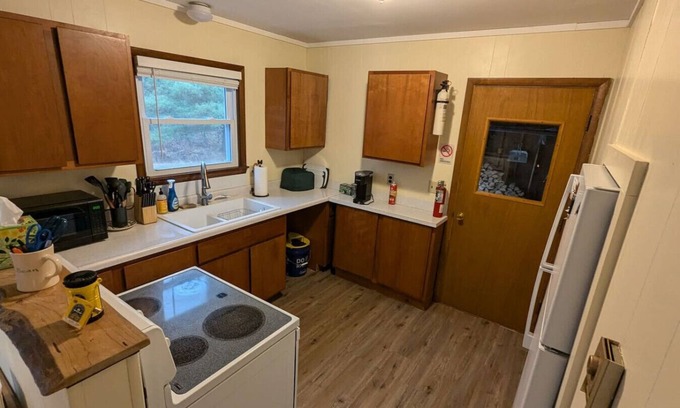 Herron Cabina | The Atwood Lodge | Secluded Cabin in Curran MI