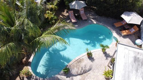 North Andrews Gardens Casa | The Ave House- Private Oasis Retreat W/heated Pool