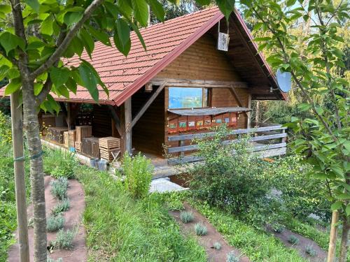 Zalec Apartamento | The BeeHouse, Nature stay