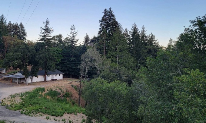 Scotts Valley Otro | The Back 40