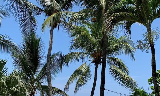 Playa Hermosa Hotel | The Backyard Hotel