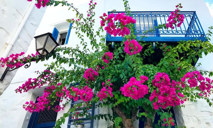 Ano Siros Apartamento | The Balcony of Bougainvillea!