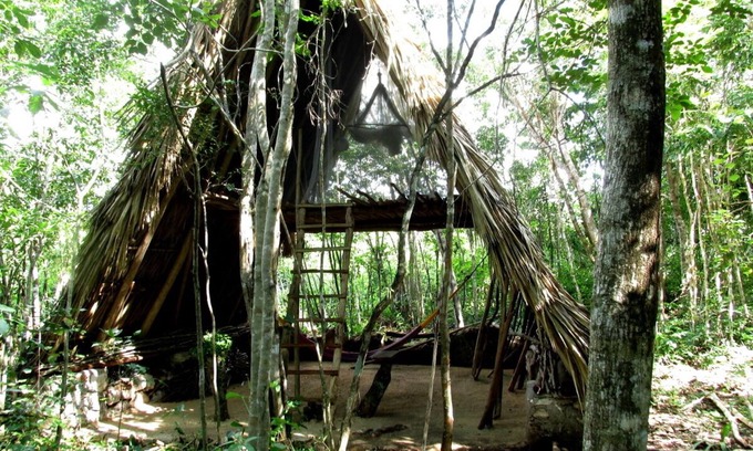 Macario Gómez Cabina | el loft de la selva DESCALZO
