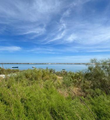 Quinta da Ria Casa | The Beach House