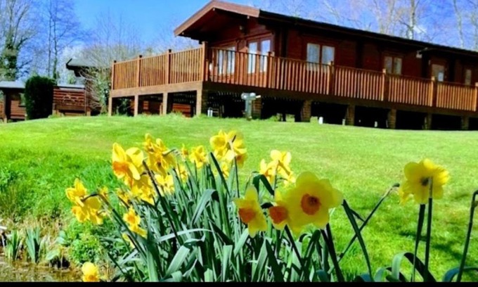Fordingbridge Chalet De Esquí | The Birches Log Cabin & Hot Tub