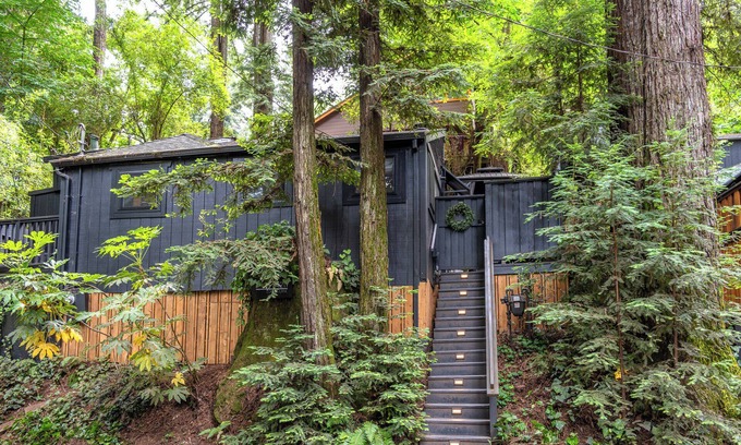 Guerneville Cabina | The Black Nest -Trendy Nest Redwood Retreat! Enchanting! WIFI/ HotTub/Pup