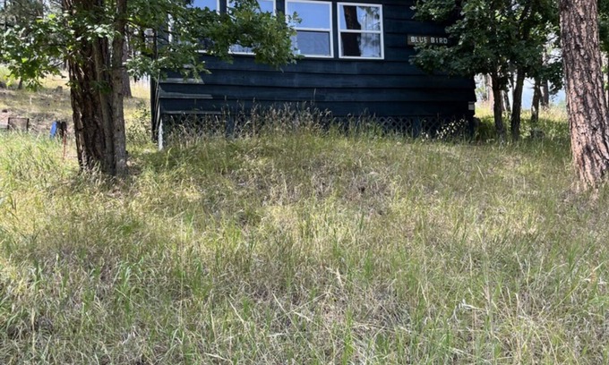 Keystone Cabina | The Blue Bird Cabin