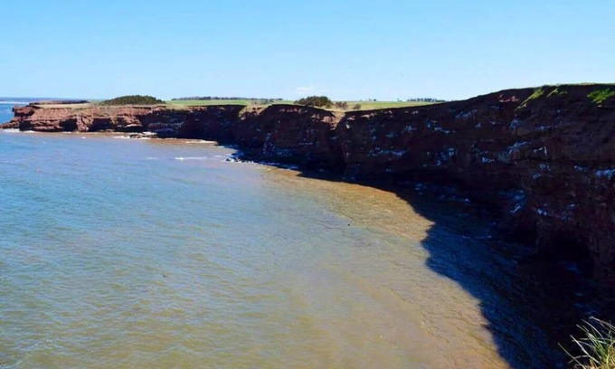 Malpeque Cabaña | The Blue Buoy- Hot tub, King bed, Centrally located, stunning views.