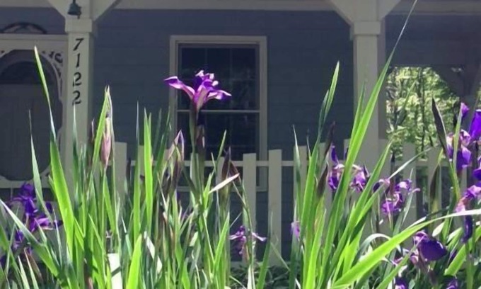Trenton Cabaña | The Blue Cottage Rental - The Perfect Lookout Mountain Getaway